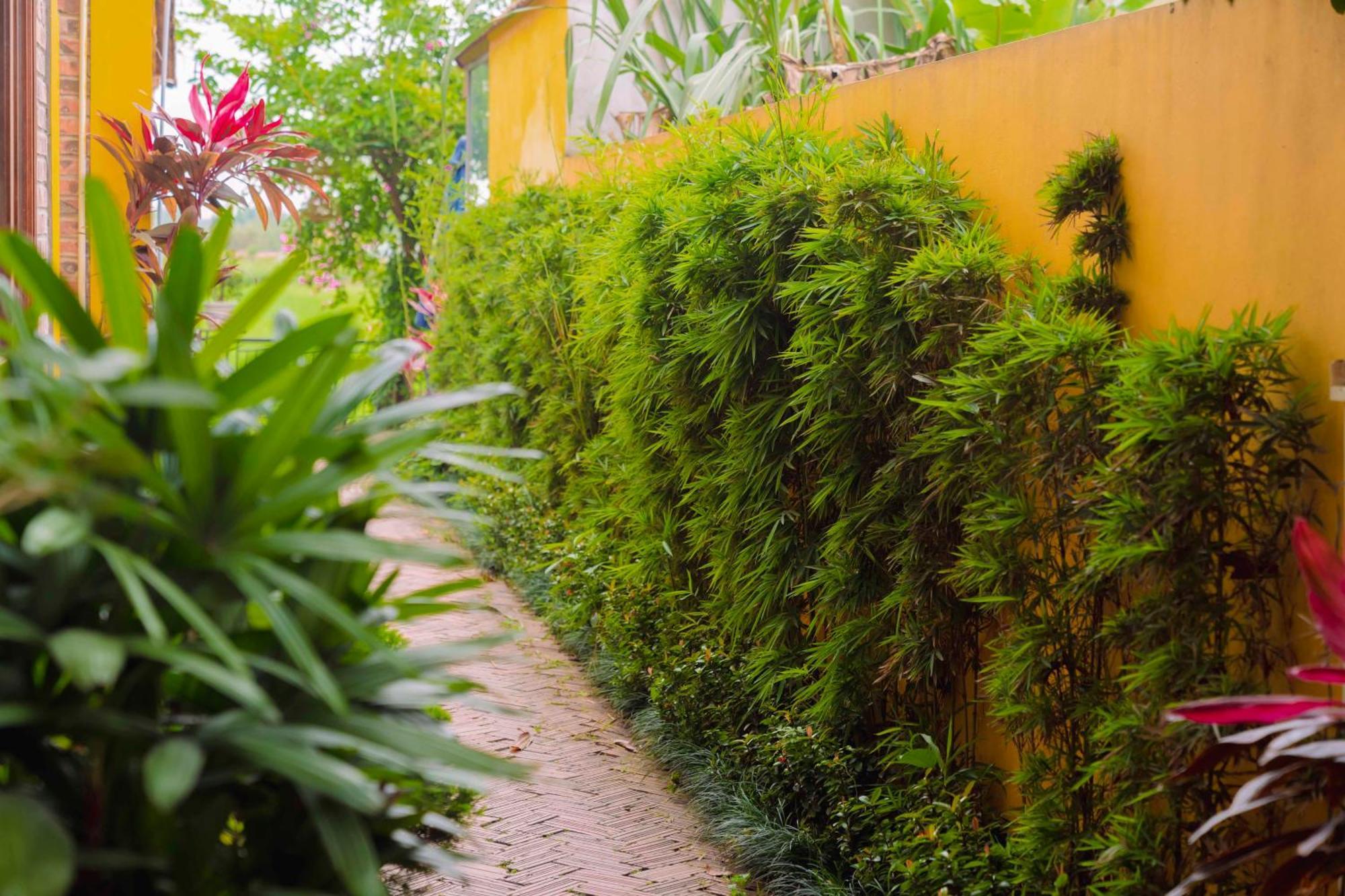 Apartamento Papaya Bungalow & Rice Fields Ninh Binh Exterior foto